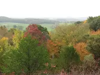 IMG_0819_1.webp