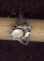 BelvRing1.webp