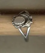 BelvRing2.webp