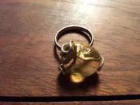 20141222_083951.webp 20141222_083951.webp