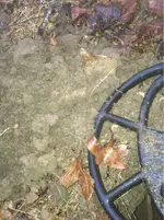 image-3934969425.webp