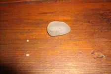GEDC0787.webp