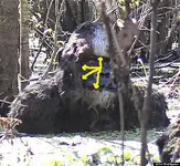 o-TAMPASKUNKAPE-570.webp