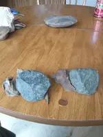 IMG_20141222_120159_403.webp