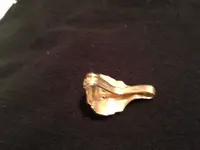 63 class ring 2.webp