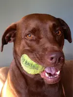 ImageUploadedByTreasureNet.com1417733274.930537.webp