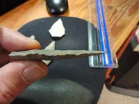 DSCN0030.webp