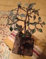 IMG_3583.webp