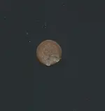 HenryLongHead.webp HenryLongHead.webp