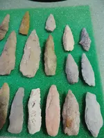 DSCN0038.webp