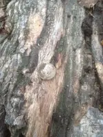 image-1063912168.webp
