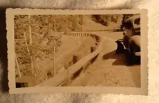 image3.webp