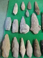 DSCN0040.webp