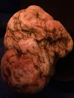 ImageUploadedByTreasureNet.com1422344577.364302.webp