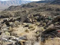 CampSite1a.webp