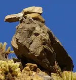 birdmonument.webp