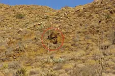 111EyeCatcher1sm.webp