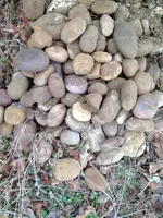 ImageUploadedByTreasureNet.com1419272563.851436.webp