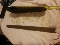 20150127_064308.webp