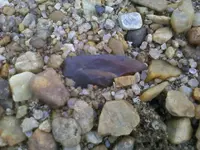 knife2a.webp