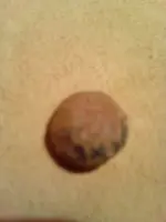 IMG_20141214_184337.webp
