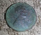 penny.webp