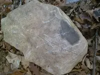 tn rust woods pic 2.webp