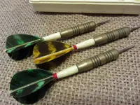 English Darts.webp English Darts.webp