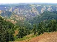 oregon.webp