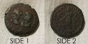 COIN 1.webp
