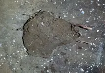 20150112_093132 dirt.webp