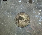 20150112_093228 dirt dime.webp