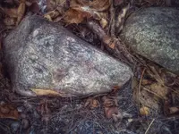 tn rust woods pic 3.webp