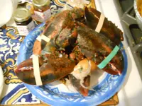 DSCN1710.webp