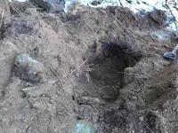 IMAG0213.webp
