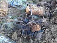 IMAG0214.webp