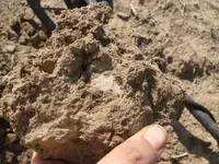 barber quarter in dirt.webp barber quarter in dirt.webp