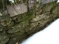 ImageUploadedByTreasureNet.com1421809111.297828.webp ImageUploadedByTreasureNet.com1421809111.297828.webp