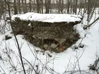 ImageUploadedByTreasureNet.com1421809193.476531.webp