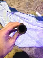 ImageUploadedByTreasureNet.com1421809545.060801.webp