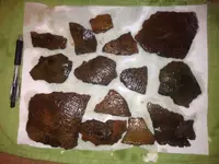 ImageUploadedByTreasureNet.com1420431766.814378.webp ImageUploadedByTreasureNet.com1420431766.814378.webp