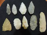 DSCN0041.webp