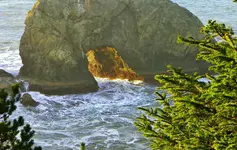 DSCN7097.webp