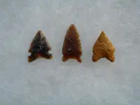 DSCN0431.webp