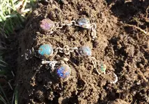 20141204_124711 bracelet.webp 20141204_124711 bracelet.webp