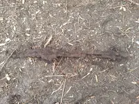 20140323_101821.webp