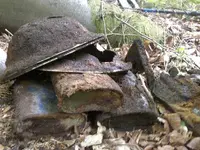 16052010568.webp