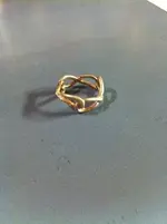ring.webp ring.webp