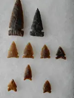 DSCN0432.webp