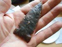 DSCN0436.webp